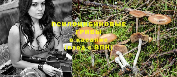 амф Алексин