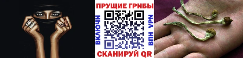 Купить где  Вытегра  Галлюциногенные грибы ЛСД 